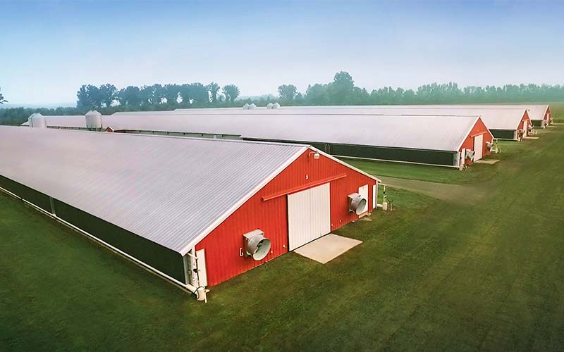 best-poultry-house-design-for-broiler-withommercial-farm-pdfhicken